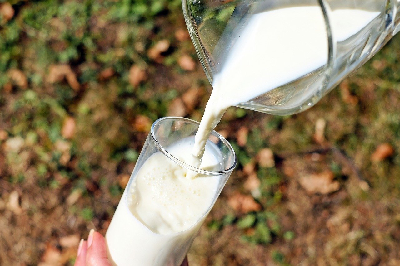 《美国国家科学院院刊》PNAS：研究人员证明牛奶如何引发多发性硬化症症状