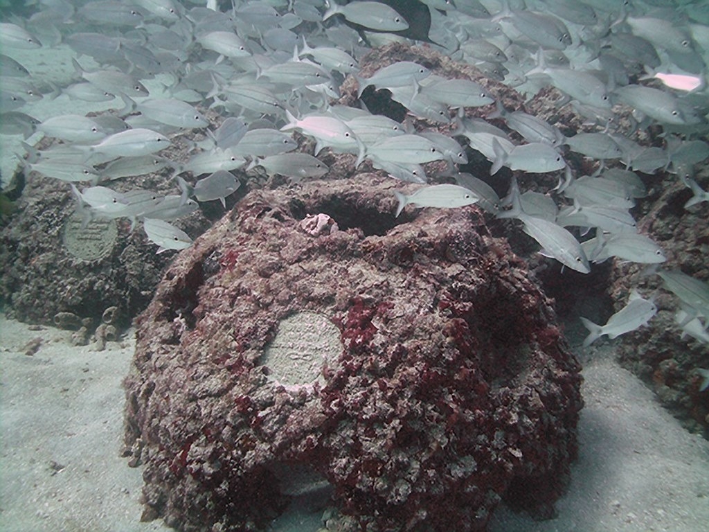 美国佛罗里达州的慈善机构 「永生礁」（Eternal Reefs），为热爱海洋的人提供珊瑚礁葬服务。图片来源：撷取自永生礁脸书
