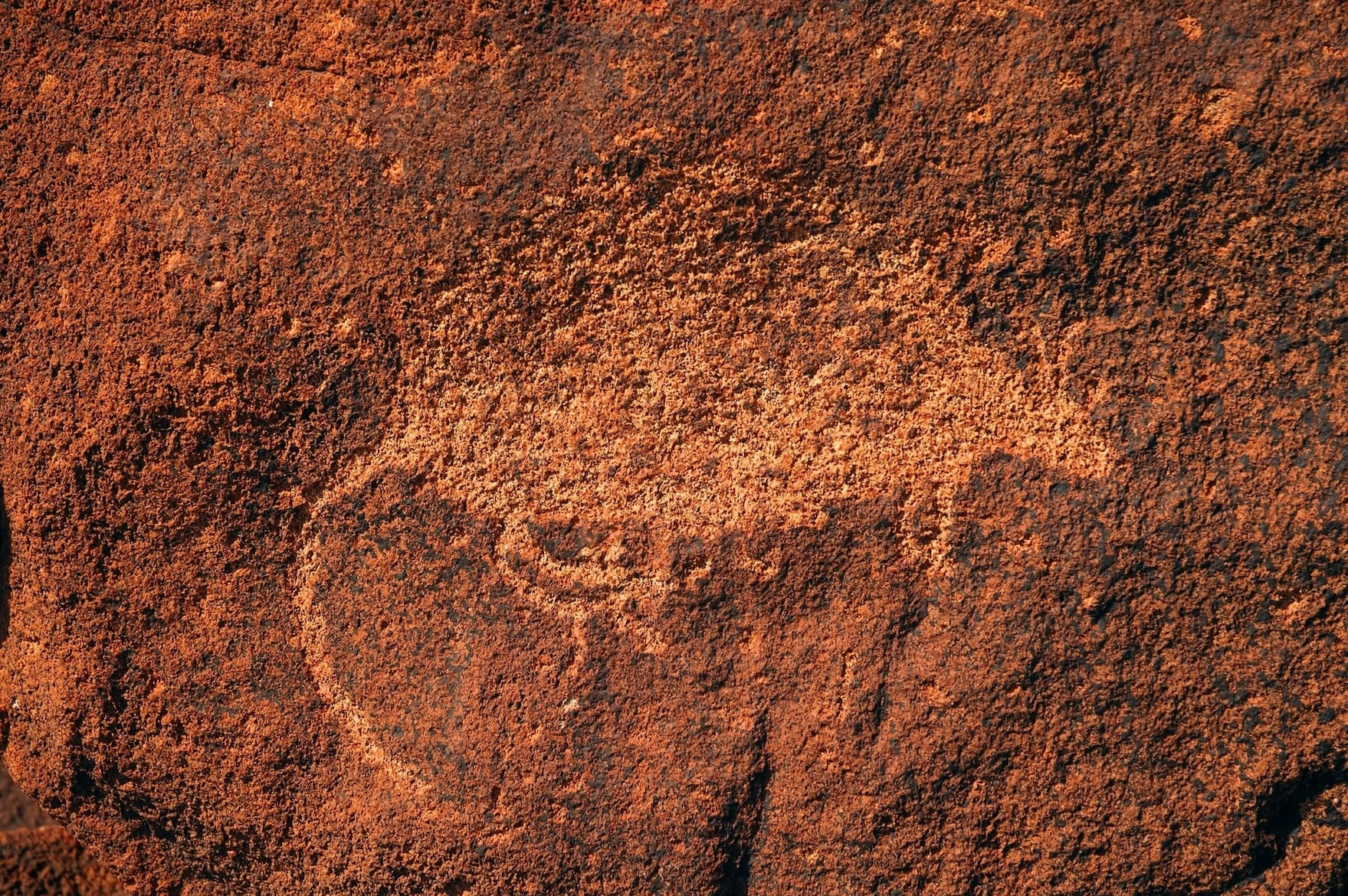 气候变迁和矿业污染可能会摧毁世界上最古老的岩石艺术：澳洲布鲁普半岛上的穆鲁朱加