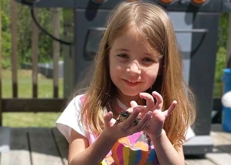 加拿大6岁女童对青蛙与蜘蛛等小动物情有独钟被同学排挤 科学家群起声援