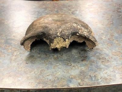 美国明尼苏达州民众划船发现头骨 人类学家鉴定后认为是8000年前美洲原住民