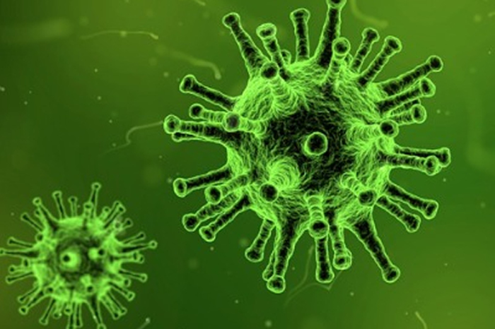 科学家为第一位人类患者注射了一种新的癌症杀伤性病毒Vaxinia