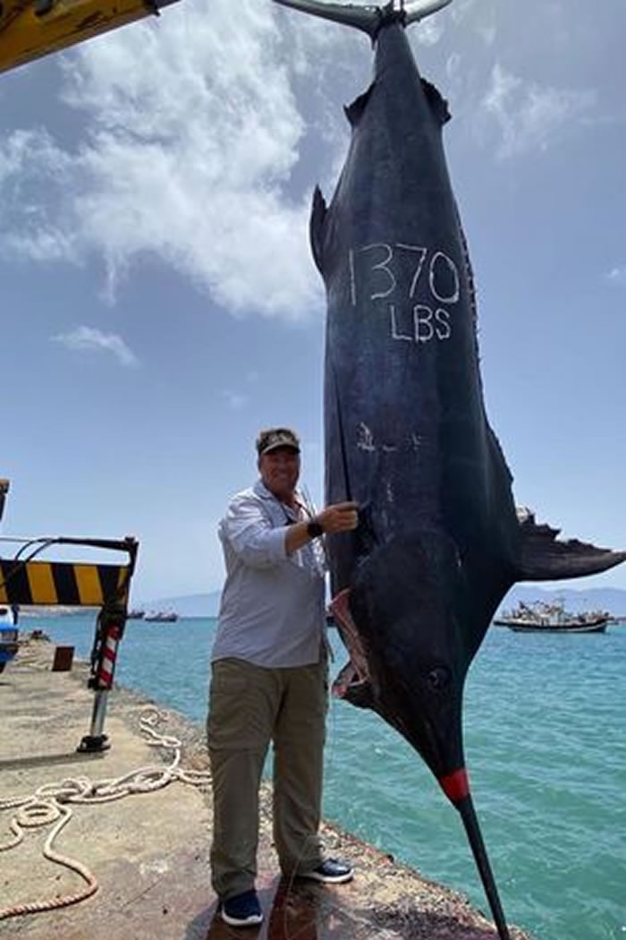 南非渔民捕获重达621公斤大西洋蓝枪鱼 是有史以来在大西洋捕到的第二大巨鱼