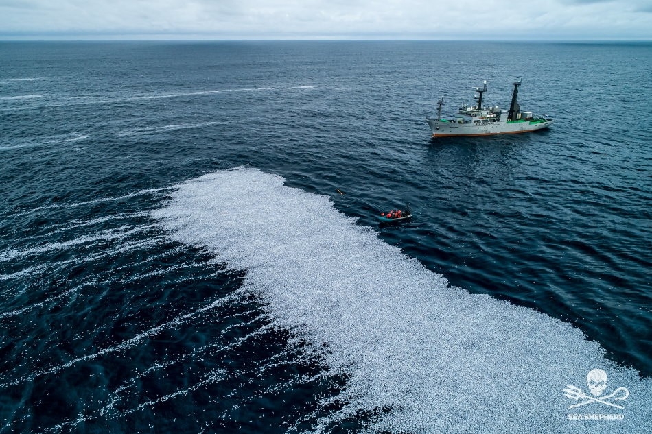 人类正在消耗海洋 35%渔获在上餐桌前遭丢弃