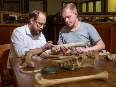 古老恐鸟DNA提供有关物种如何应对气候变化的见解