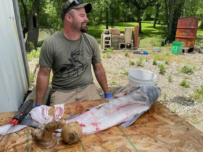 美国印第安纳州男子捕获蓝鲶鱼 剖开鱼肚后竟然发现一根...