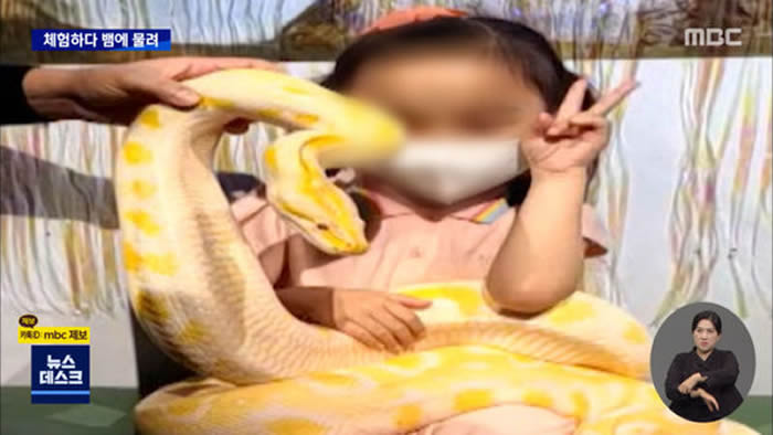 韩国6岁女童前往动物园游玩遭缅甸蟒紧咬手指不放
