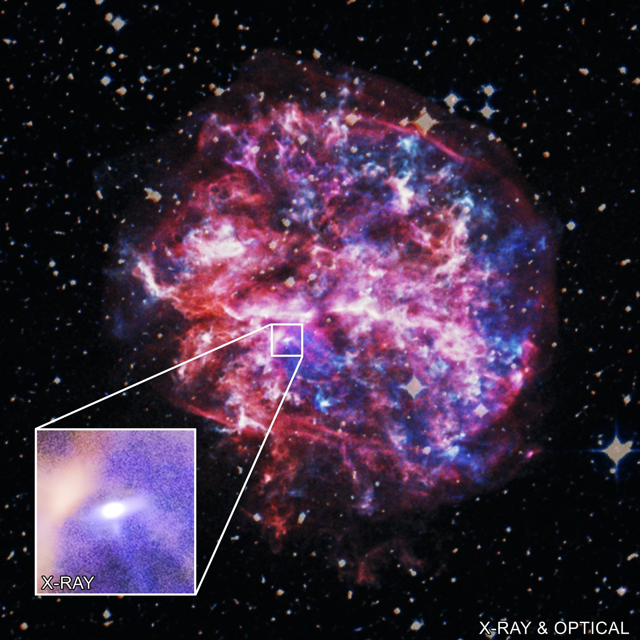 G292.0+1.8超新星遗迹包含一颗脉冲星