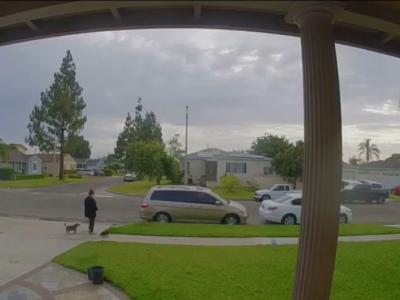 美国加州女子带宠物狗散步时突然被一道闪电劈中 1人2狗当场死亡
