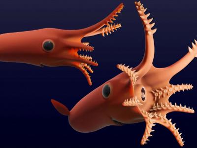 1.64亿年前侏罗纪头足类生物罗讷河陷阱幽灵蛸以强有力的吸盘捕猎