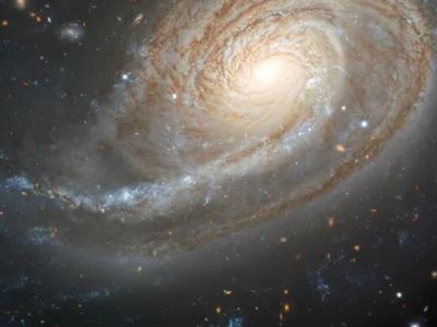 国际双子座天文台拍摄的倾斜的螺旋星系NGC 772