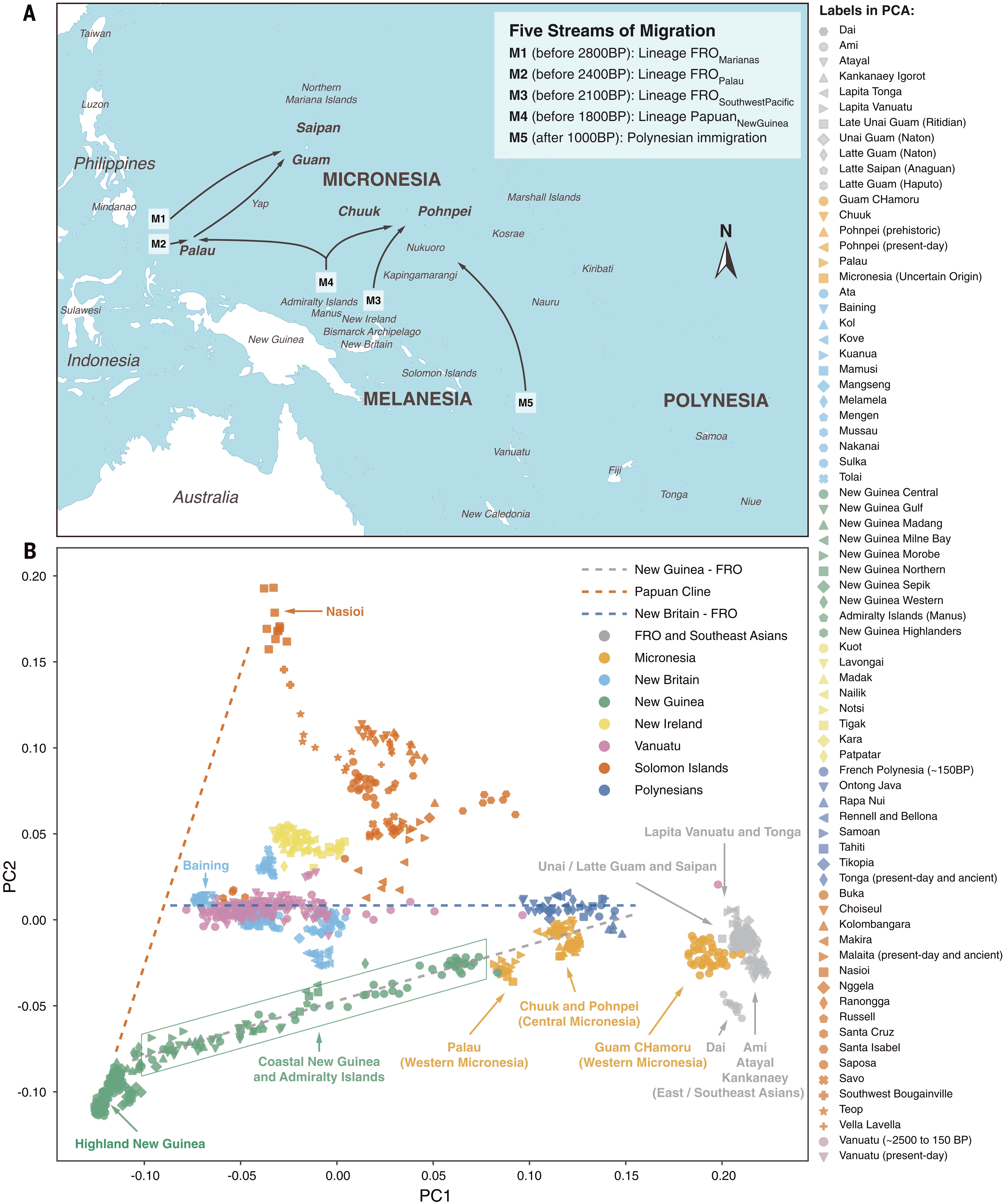 对密克罗尼西亚人DNA的分析揭示独特的人群迁徙模式