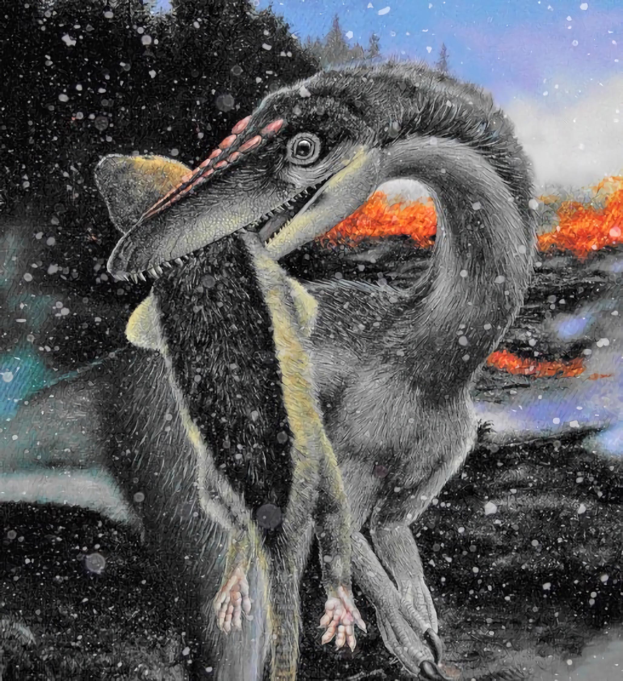 恐龙在冰雪中占领地球 而不是在温暖的环境中