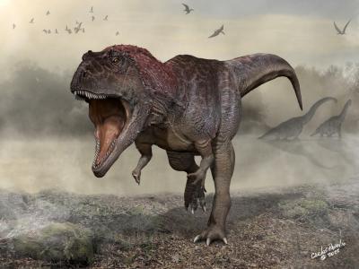阿根廷北部巴塔哥尼亚地区出土白垩纪食肉恐龙化石