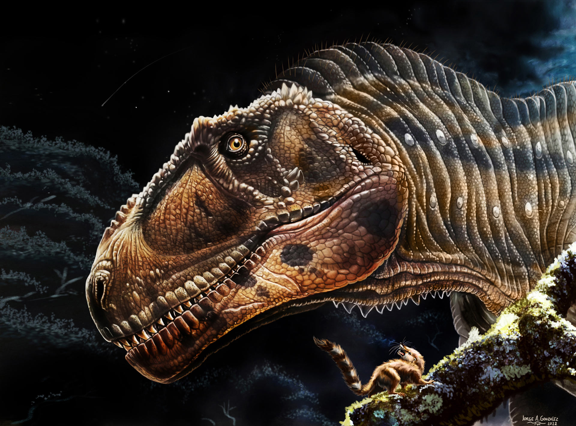 阿根廷北部巴塔哥尼亚地区出土白垩纪食肉恐龙化石