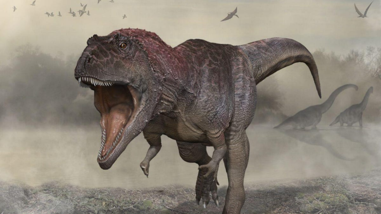 阿根廷巴塔哥尼亚北部地区挖掘出大型肉食恐龙化石 身长11米