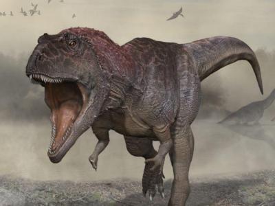 阿根廷巴塔哥尼亚北部地区挖掘出大型肉食恐龙化石 身长11米
