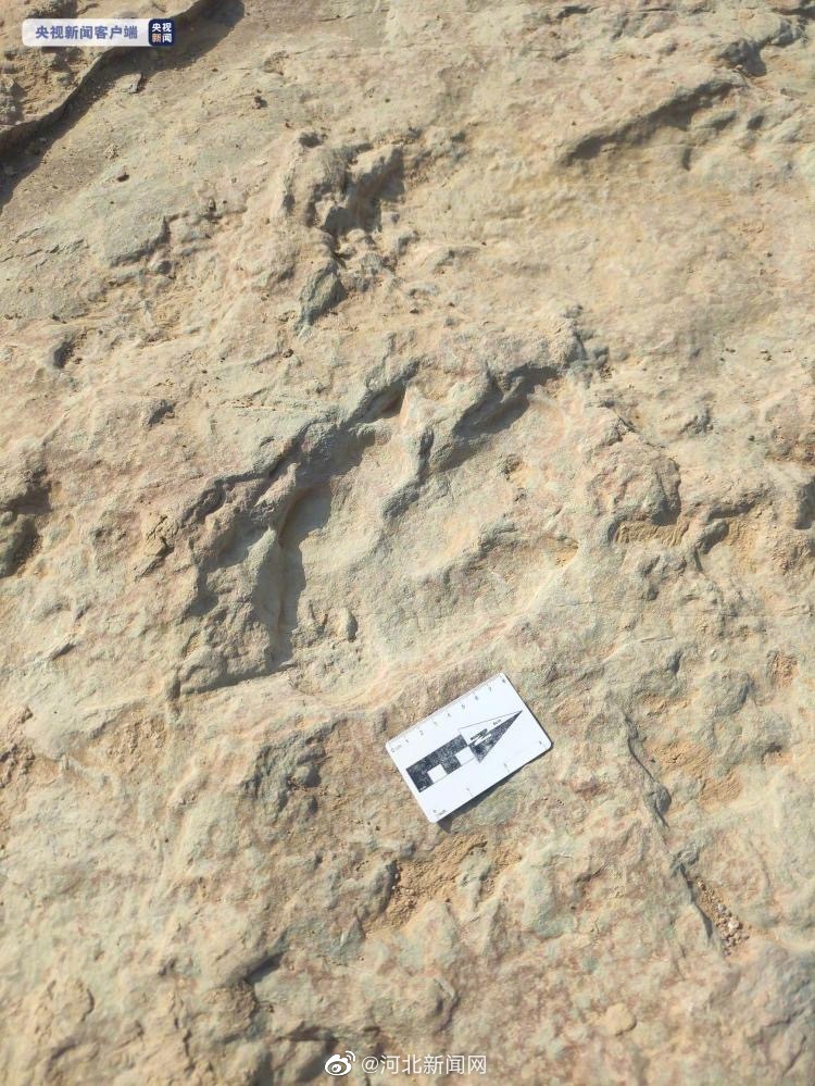 4300多个：河北张家口现国内数量最多恐龙足迹化石点