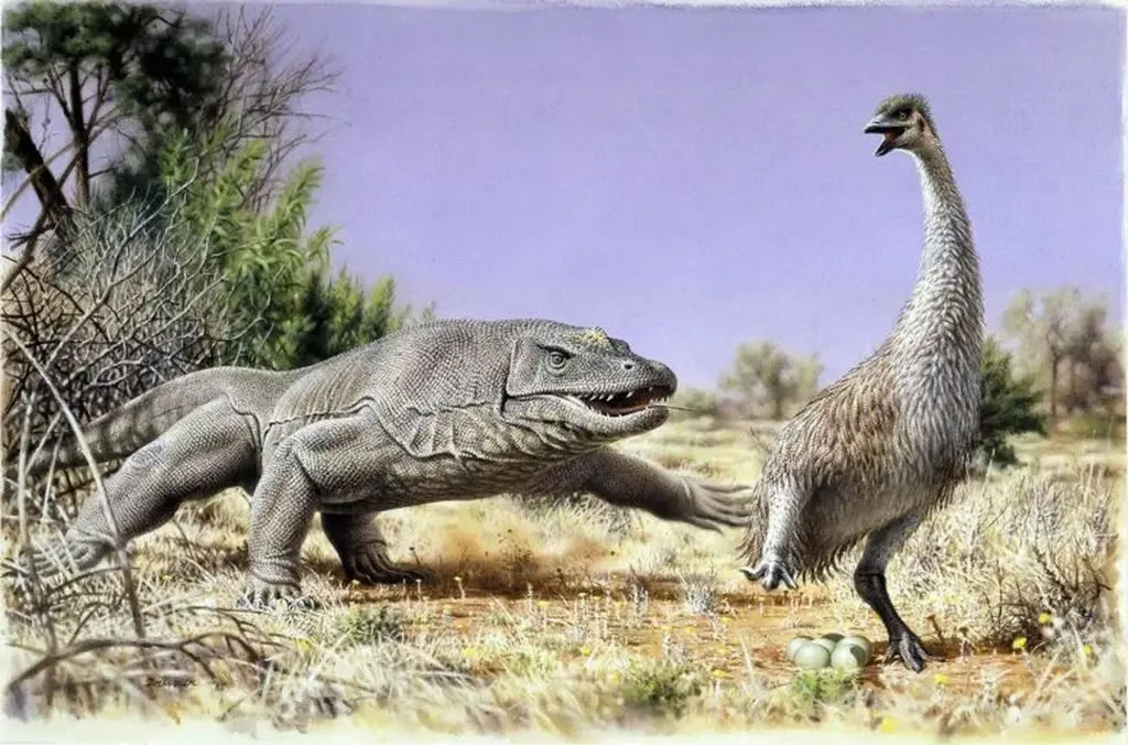 有争议的澳大利亚史前巨蛋属于“末日恶魔鸭”最后成员