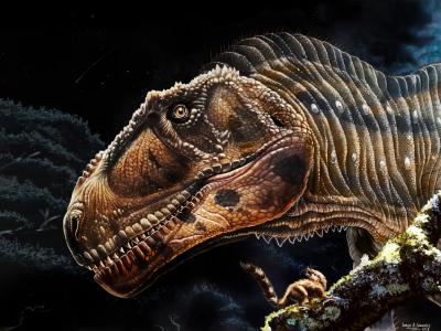 阿根廷发现的新“巨龙”物种Meraxes gigas为霸王龙的小臂带来线索