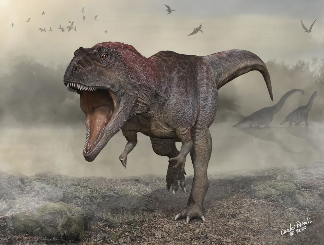 阿根廷新发现的巨型食肉恐龙”美拉克斯巨龙“有着像霸王龙那样的短小前肢