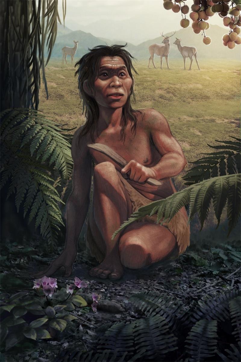 1.4万年前“蒙自人”女性及其生活场景复原图 （昆明动物研究所设计、任文煜绘图；版权所有）