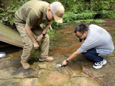 四川乐山一餐厅发现恐龙足迹化石 为白垩纪早期雷龙留下