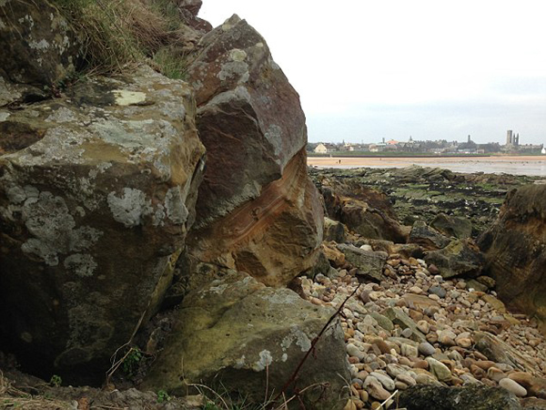 化石猎人在苏格兰海滩巨石上发明诡异人脸