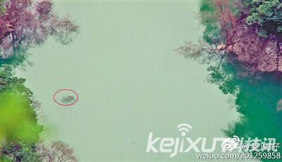 重庆石笋河惊现体长数米“水怪”：或为巨型鳙鱼 