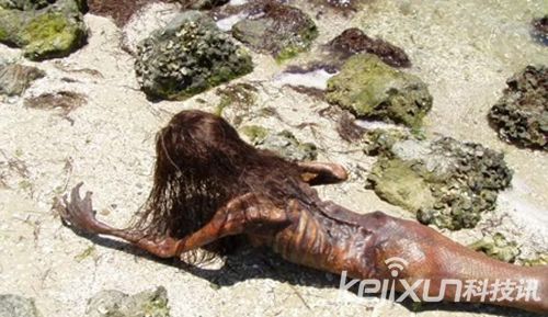 美国海滩惊现美人鱼尸体 科学家曾发现美人鱼化石