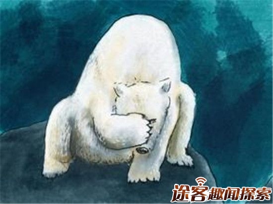 2016年人类可能要被热死：2月份北极熊被热哭