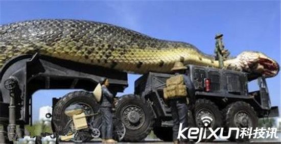 世界最大的蛇97米 工地现超级大蟒蛇