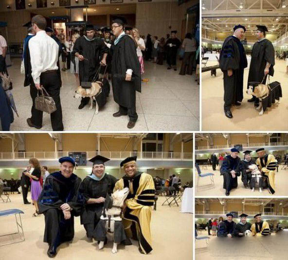 世界最高学历的狗 被授予荣誉硕士学位 第2张图片